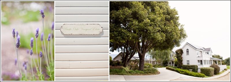 pacific-oaks-estate-wedding-photographer_0001-7763813